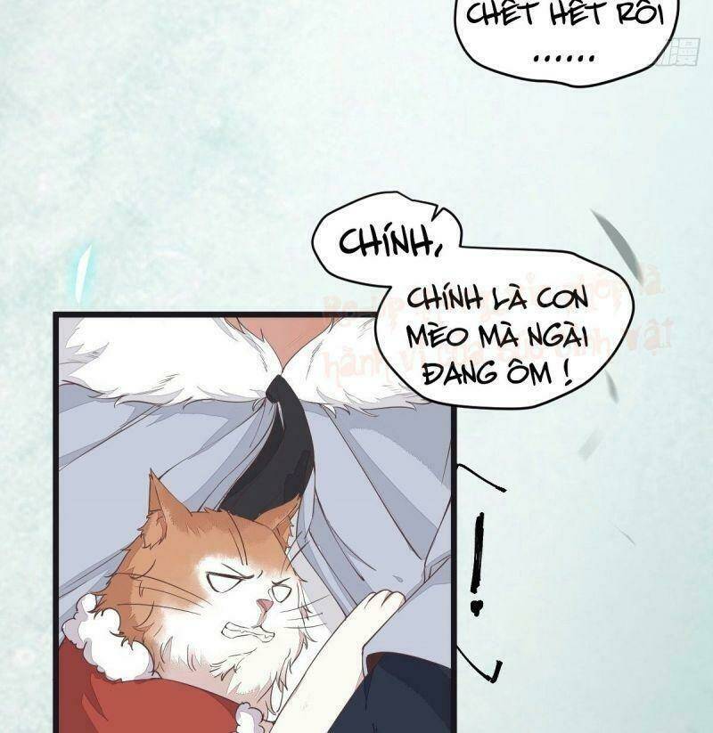 sát thủ vương phi không dễ chọc chapter 39 22