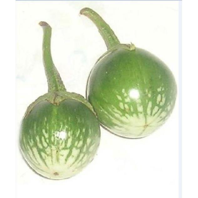 Hạt giống Cà da ếch dể trồng f1_gói 2gram-tặng kèm gói phân bón lót