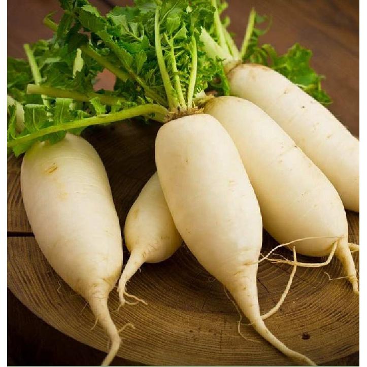 Hạt giống cải củ trắng dể trồng f1-gói 20gram/tặng kèm gói phân bón lót