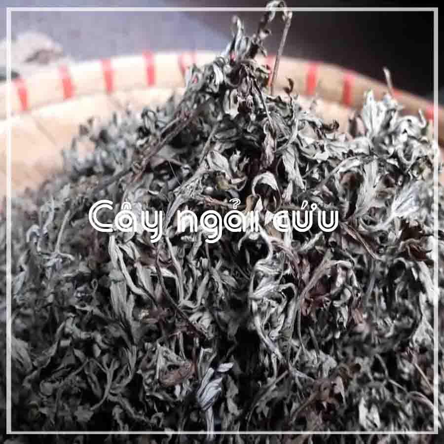 Thảo dược CÂY NGẢI CỨU khô sạch đóng gói 500gram - congtyduoclieuhonglan