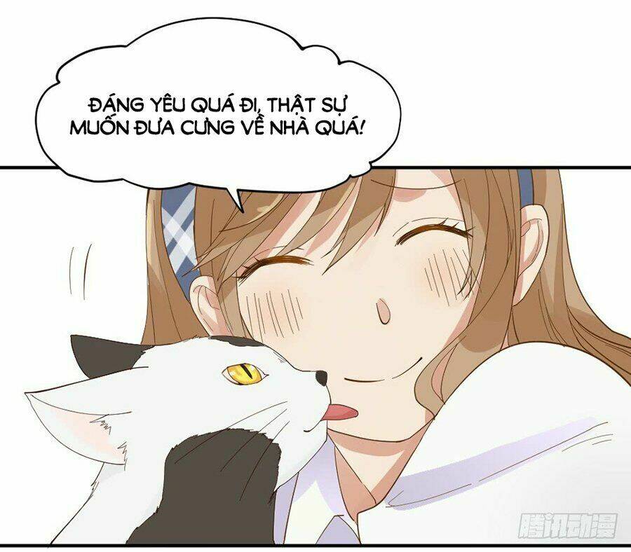 nguyệt lão không cho phép tôi yêu đương chapter 1.2 6