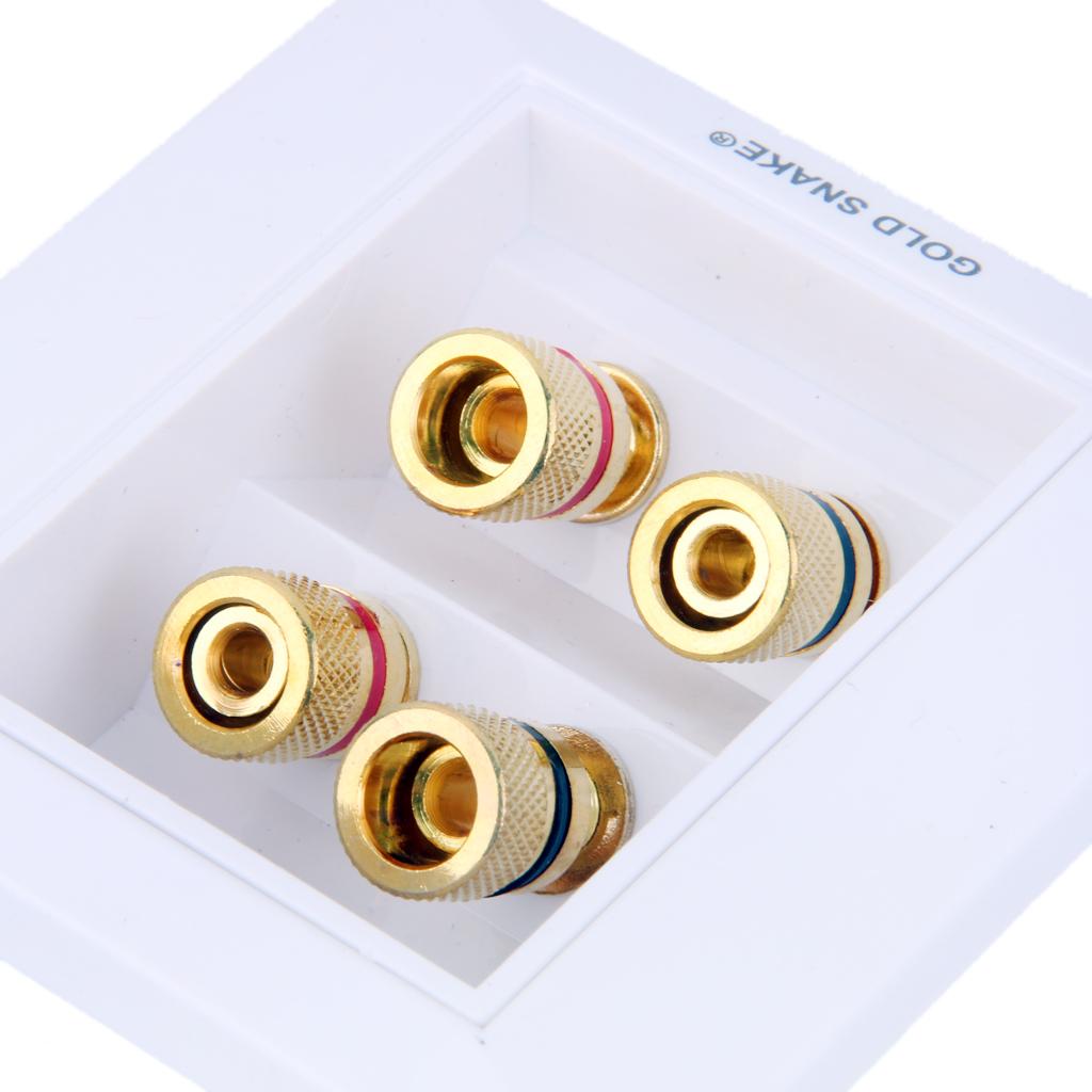 4 Count Speaker Wall Plate 2+4 Banana Binding Posts for Speaker Decor
