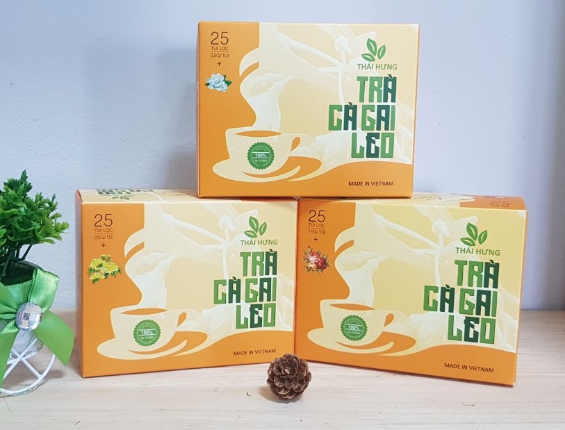 Trà thảo dược cao cấp Thái Hưng: CÀ GAI LEO (Hộp 25 túi 2,5g)