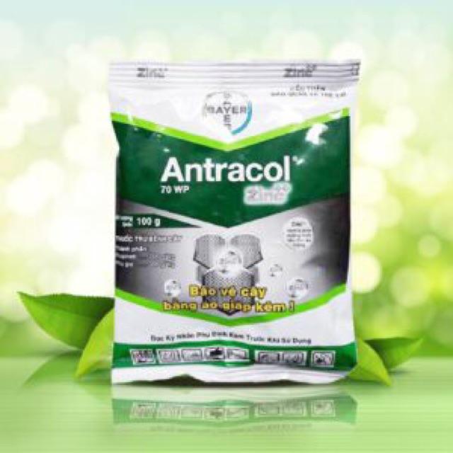 Sản Phẩm trừ nấm bệnh Antracol 70wp gói 100g dùng cho cây trồng
