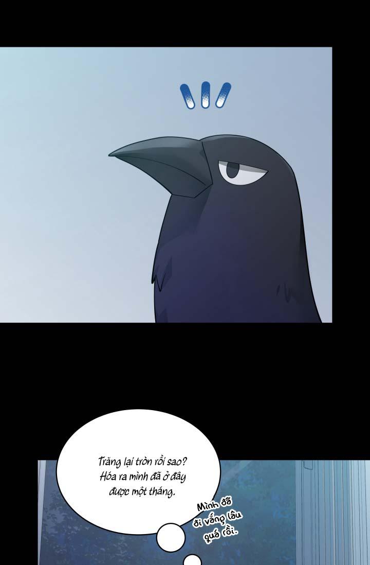 hôn nhân bị đánh cắp của hồ ly chapter 39 3