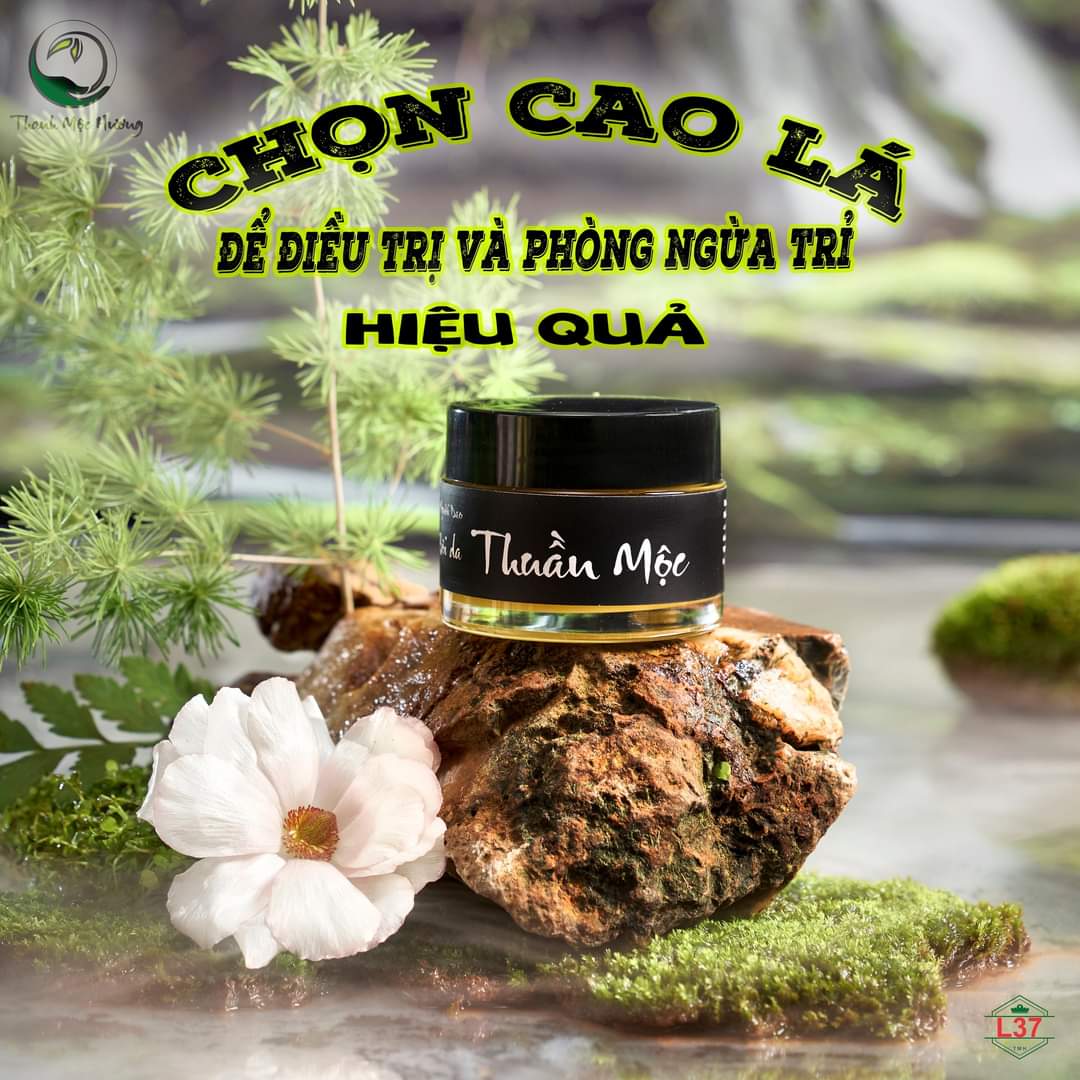 Cao lá thuần mộc bôi da Thanh Mộc Hương dưỡng ẩm da dịu làm lành vết thương 50g