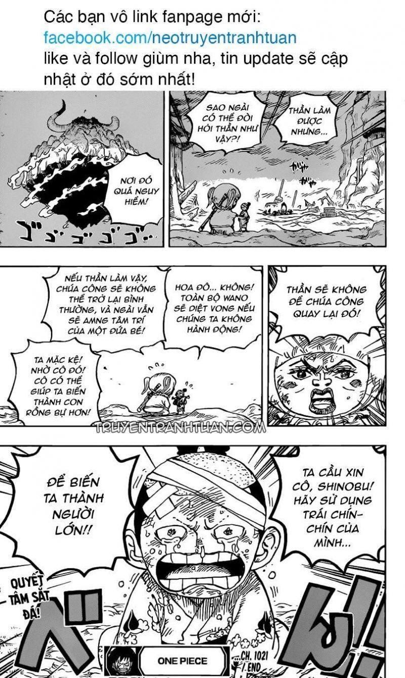 đảo hải tặc - one piece chapter 1021 15