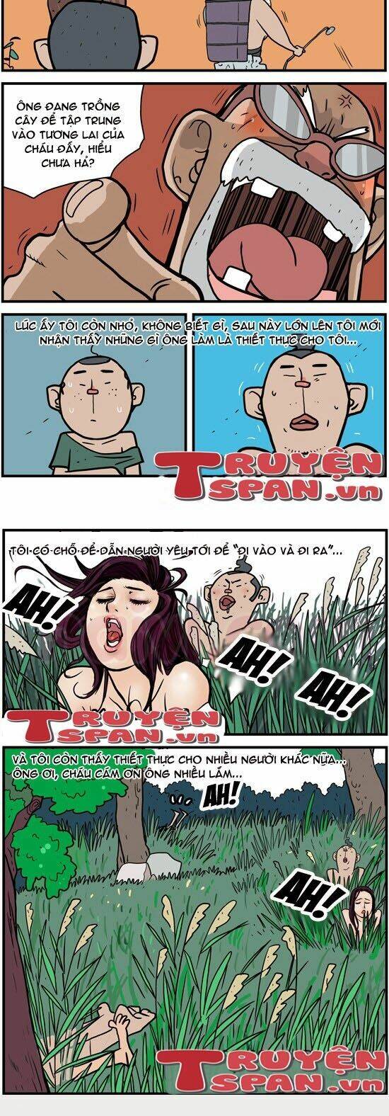 tiểu thư hơ mông chapter 16 2