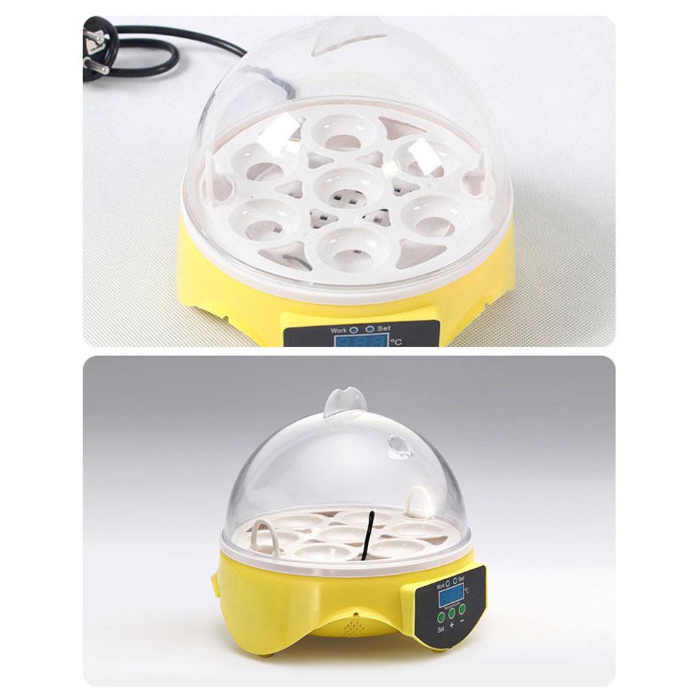 Máy ấp trứng tự động chứa được 7 trứng cho hộ gia đình