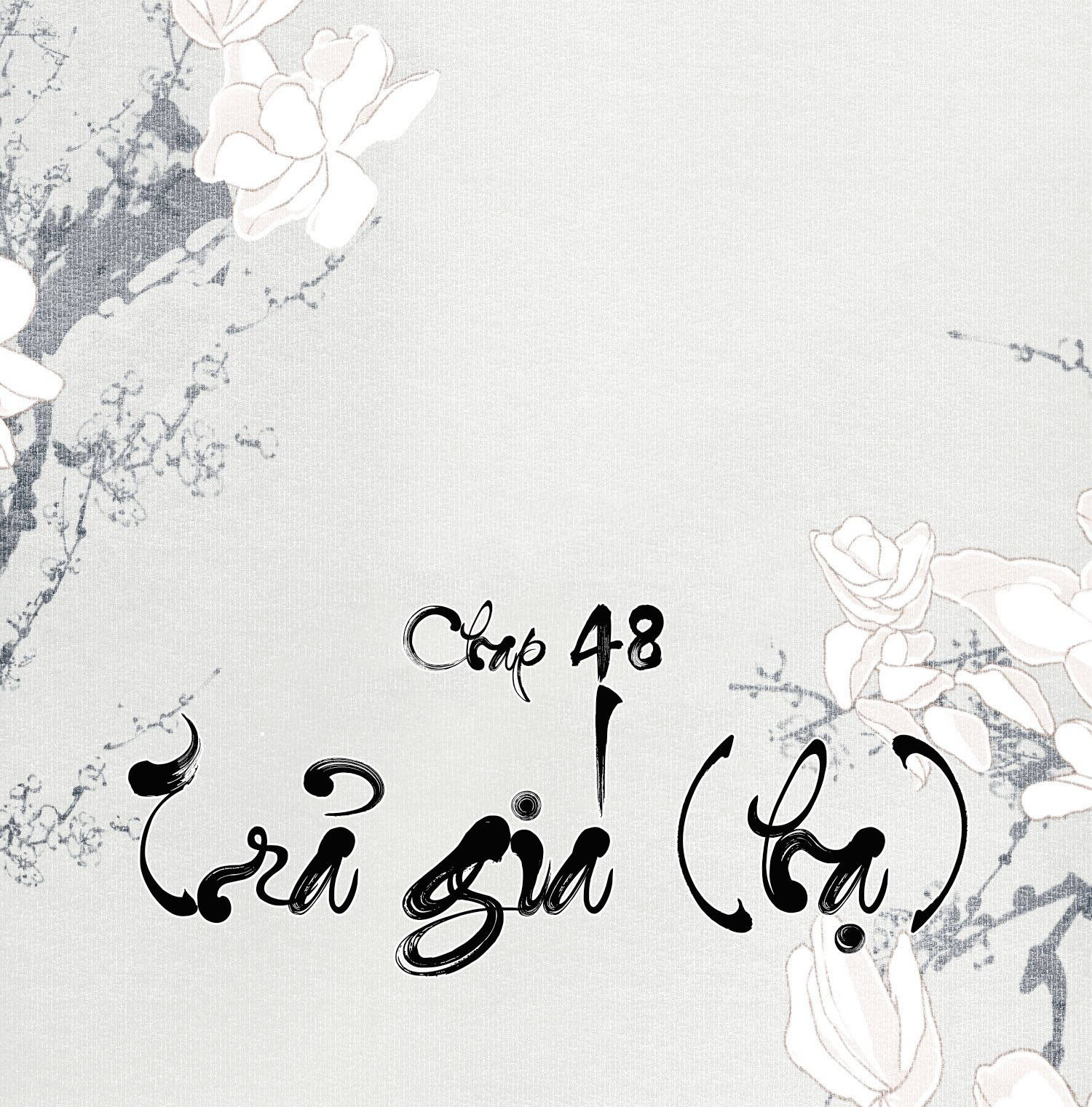 không cẩn thận cứu phải kẻ thù của giang hồ chapter 48 2