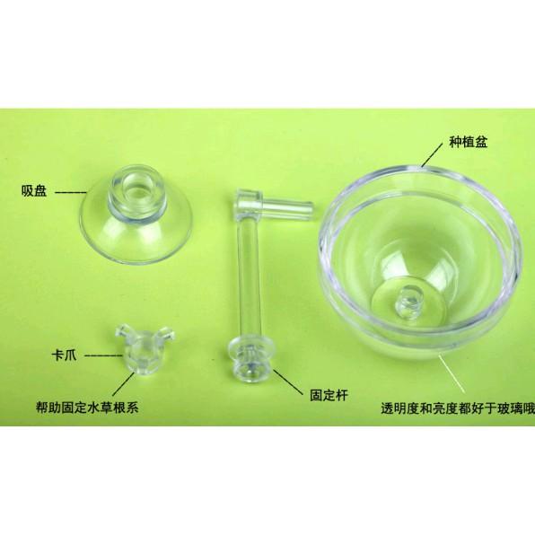 Đĩa cho tép ăn có hít - Cốc trồng cây thủy sinh - - Cốc đựng phân nền - Hồ thủy sinh - bể cá cảnh