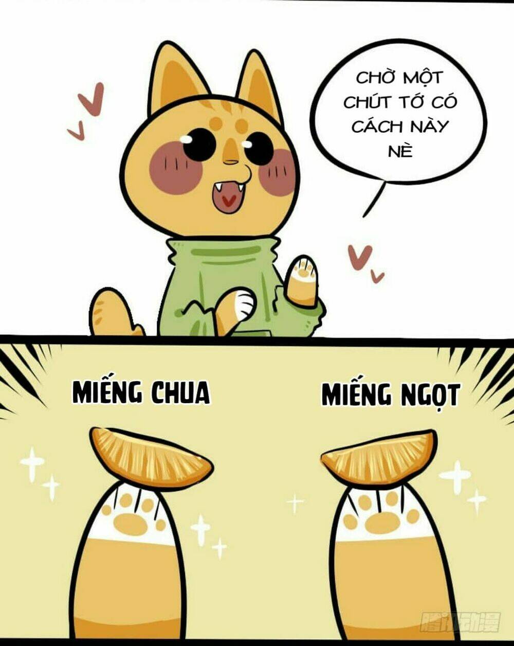 đời không như mình tưởng chapter 9 7