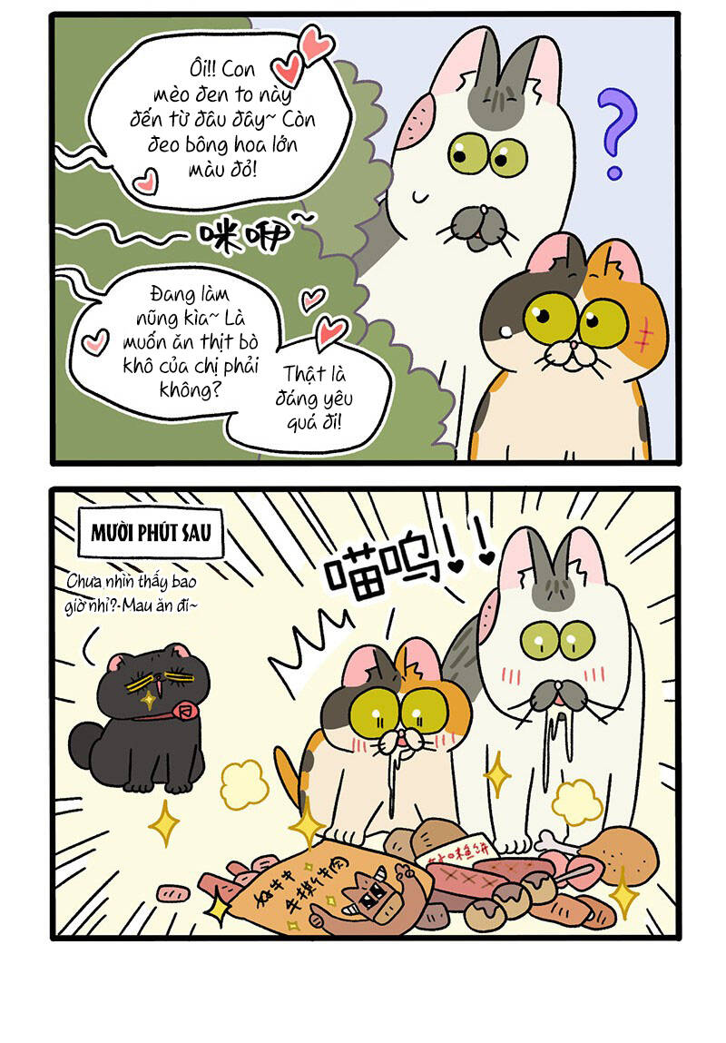 a mãn và mạch trà chapter 38.1 4