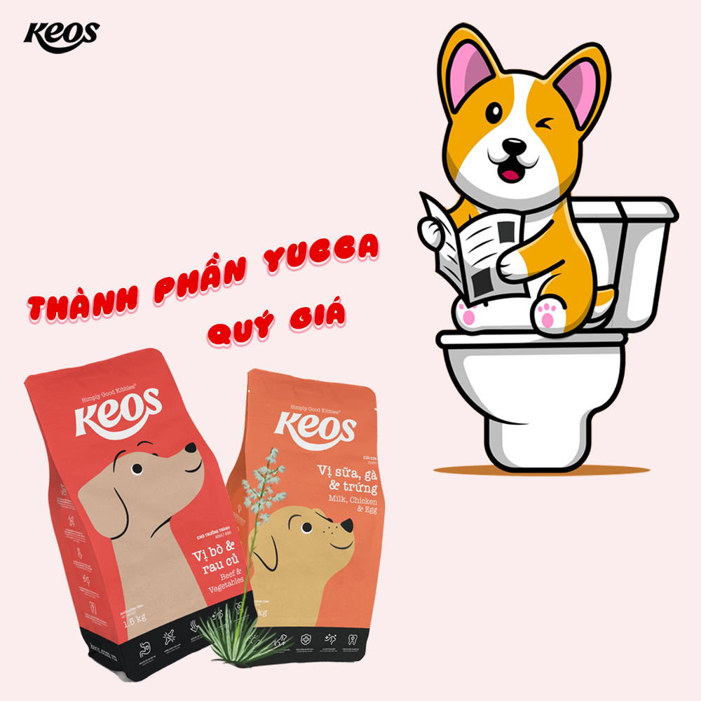20KG Thức ăn cho Chó Keos Adult - VỊ GÀ &amp; RAU CỦ - Đồ ăn cho chó Keos Adult - Chicken and Vegetables