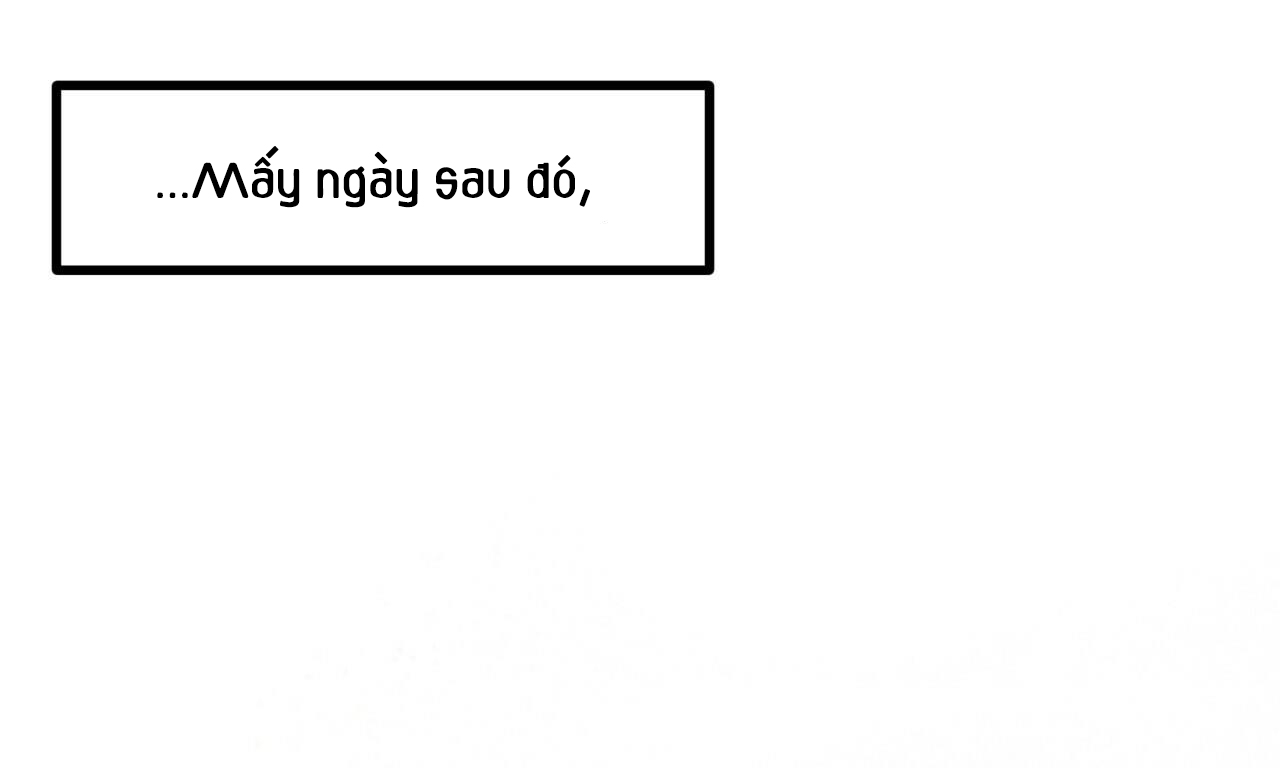 những chú thỏ của hapypy chapter 53 11