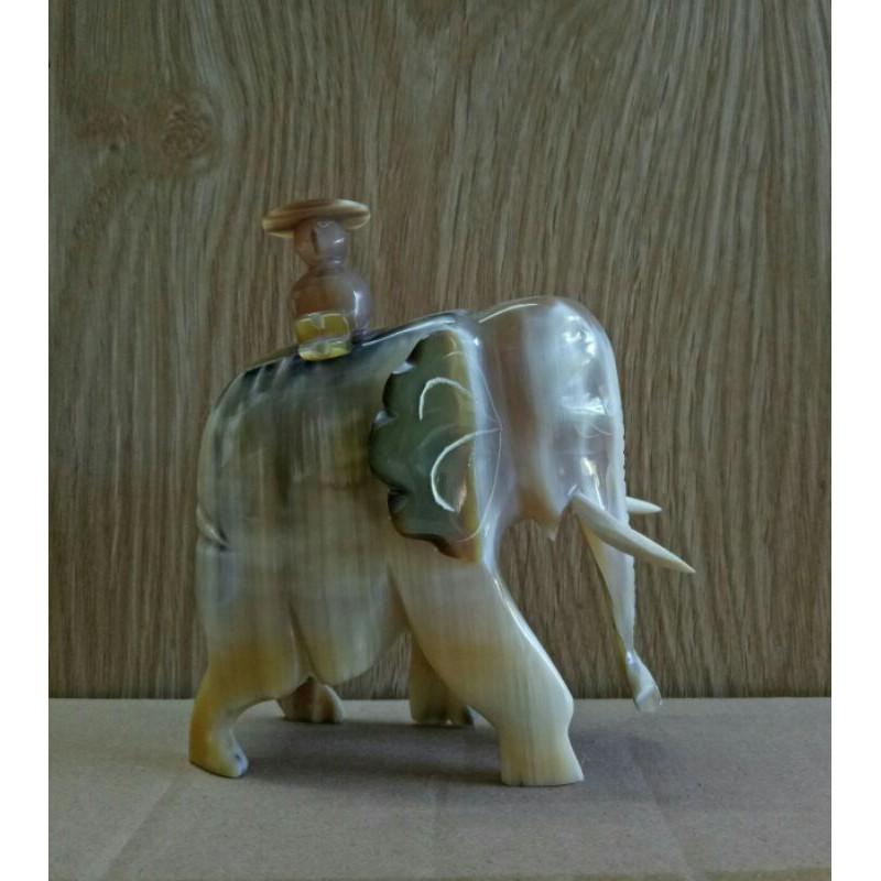 Voi tượng kích thước 10x12x6
