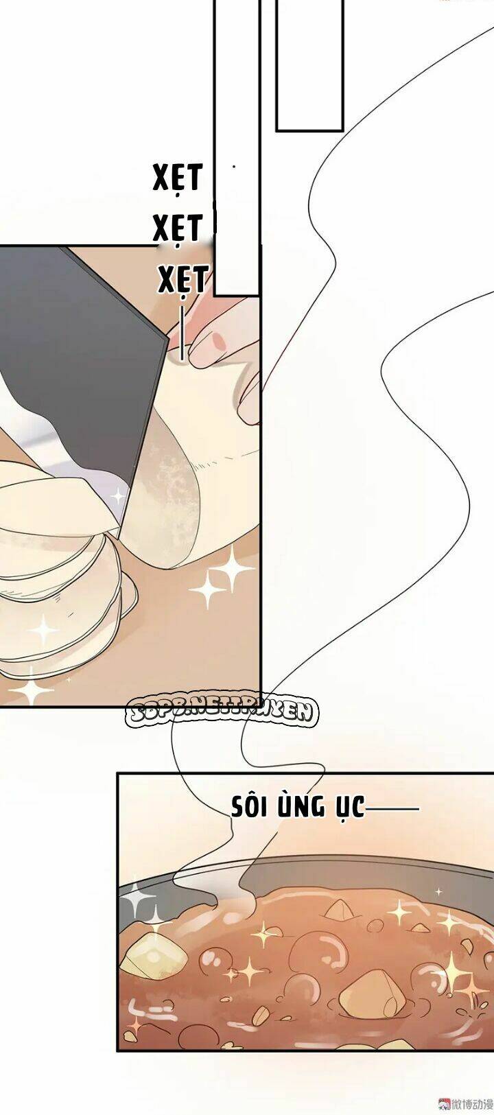 tổng tài truy thê: phu nhân đừng hòng trốn chapter 25 23