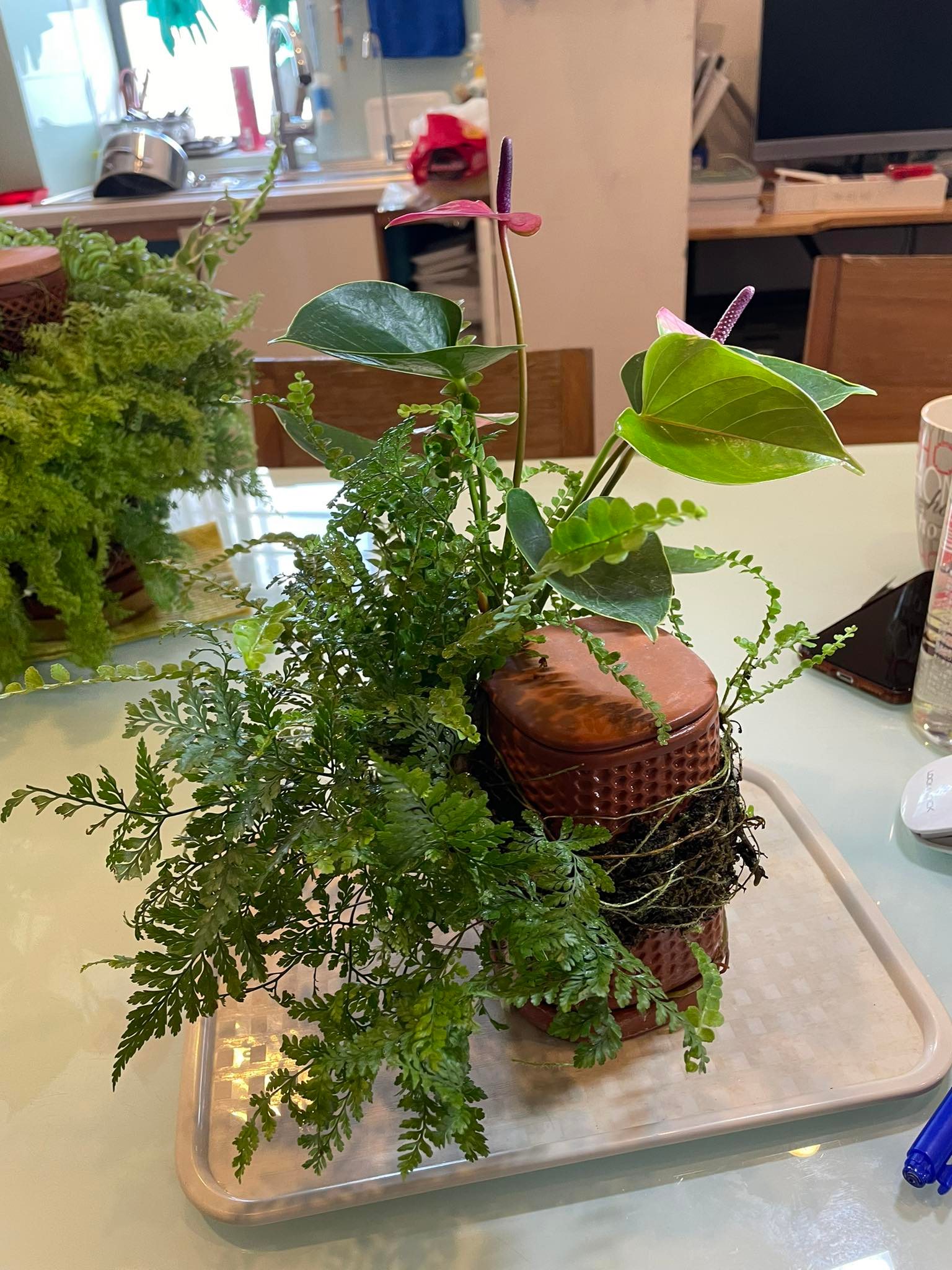 Tháp cây đứng TERRAPLANTER gốm trồng cây dương sỉ rêu tự thẩm thấu thủy canh nhiều lỗ DOOA TERRARIUM - TERRA-02