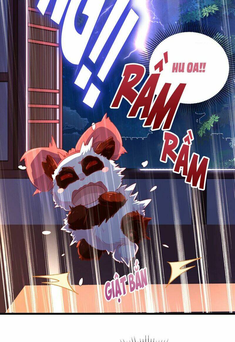 thiên thần gấu trúc muốn được ôm chapter 24 16