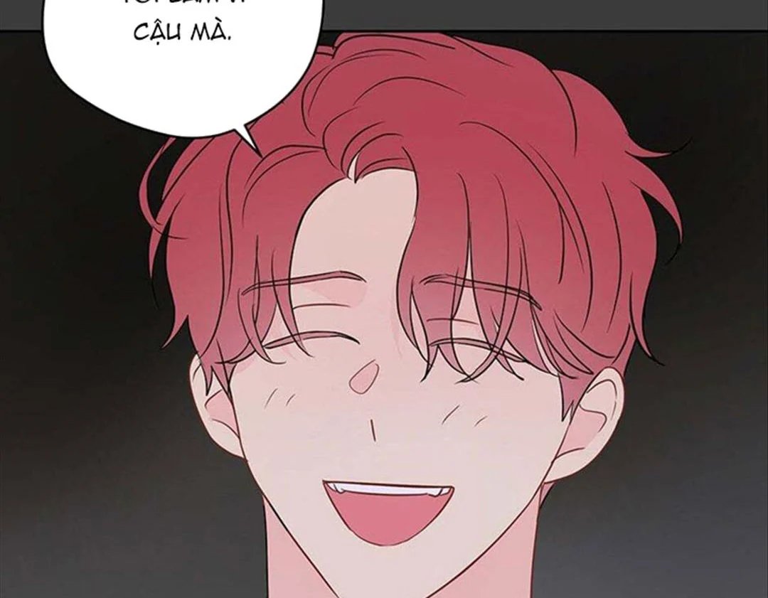 chuyện quái gì với giấc mơ đó vậy chapter 31 155