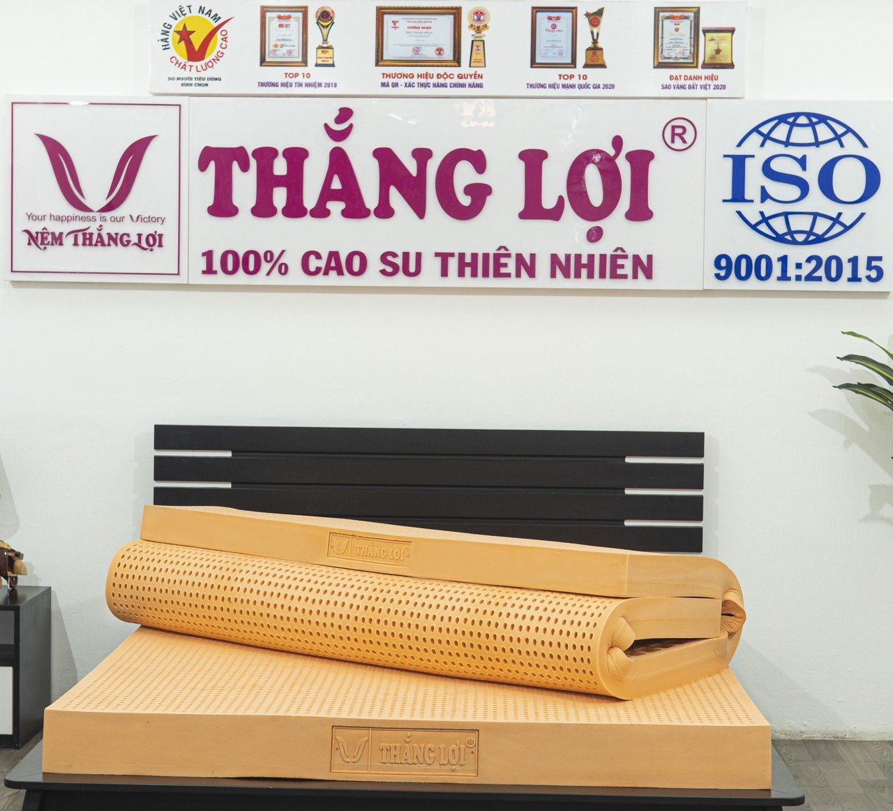 NỆM CAO SU THIÊN NHIÊN  100% CHO THẮNG LỢI SUSU ORIGINAL HÀNG CHÍNH HÃNG