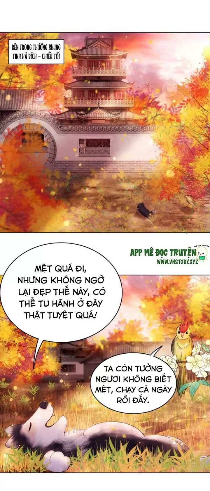 cực phẩm phế vật tiểu thư chapter 42 2