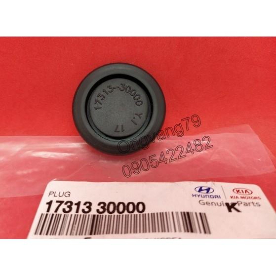 Cao su sườn xe hốc lốp dùng chung xe Hyundai và Kia - giá 1 cái