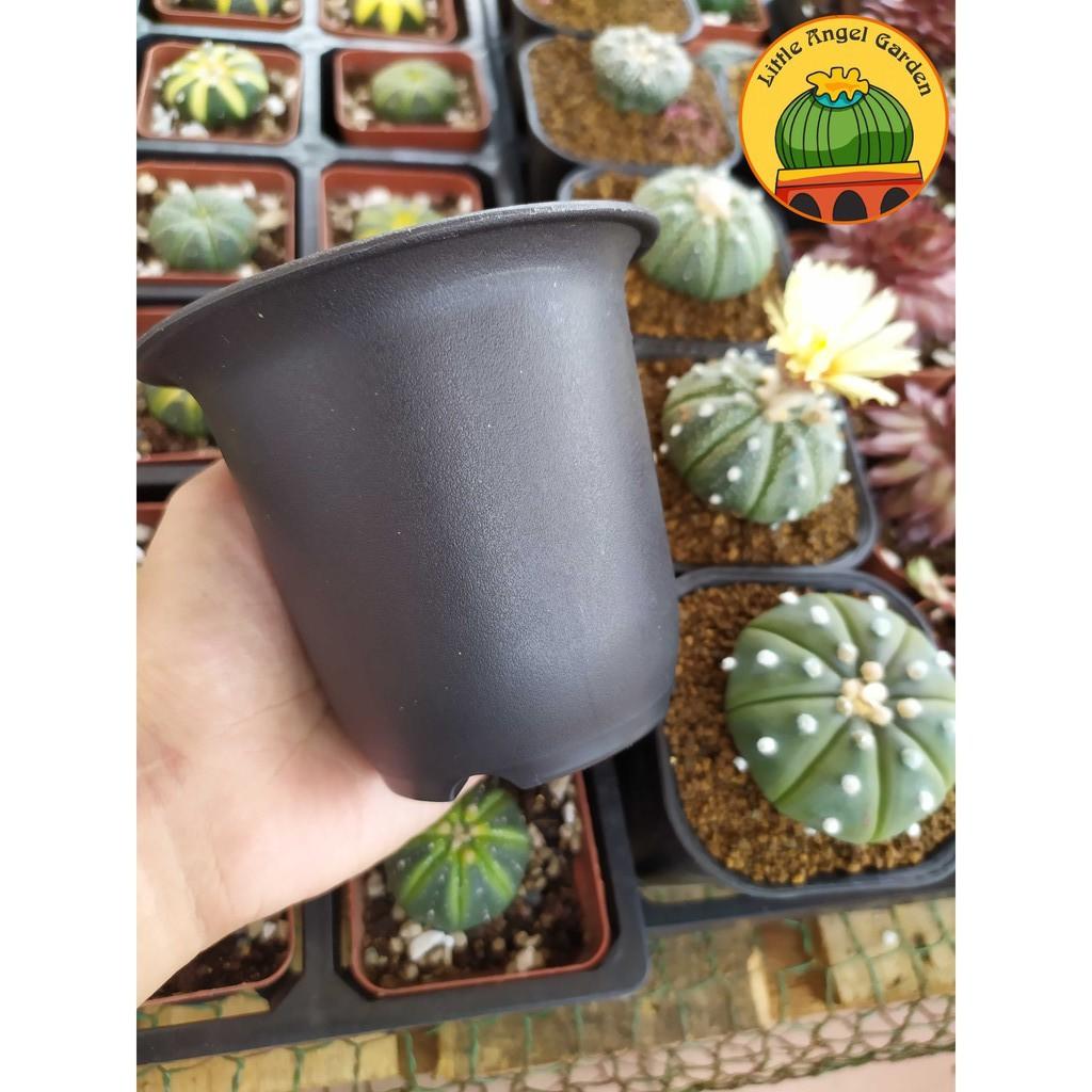 Châu nhựa tròn, dày, loe, miệng đen - Thích hợp trồng xương rồng và Haworthia