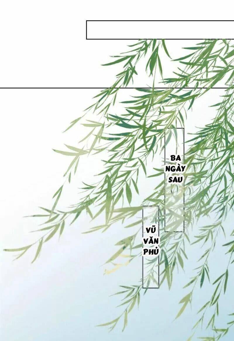 sủng phi của vương chapter 156 2
