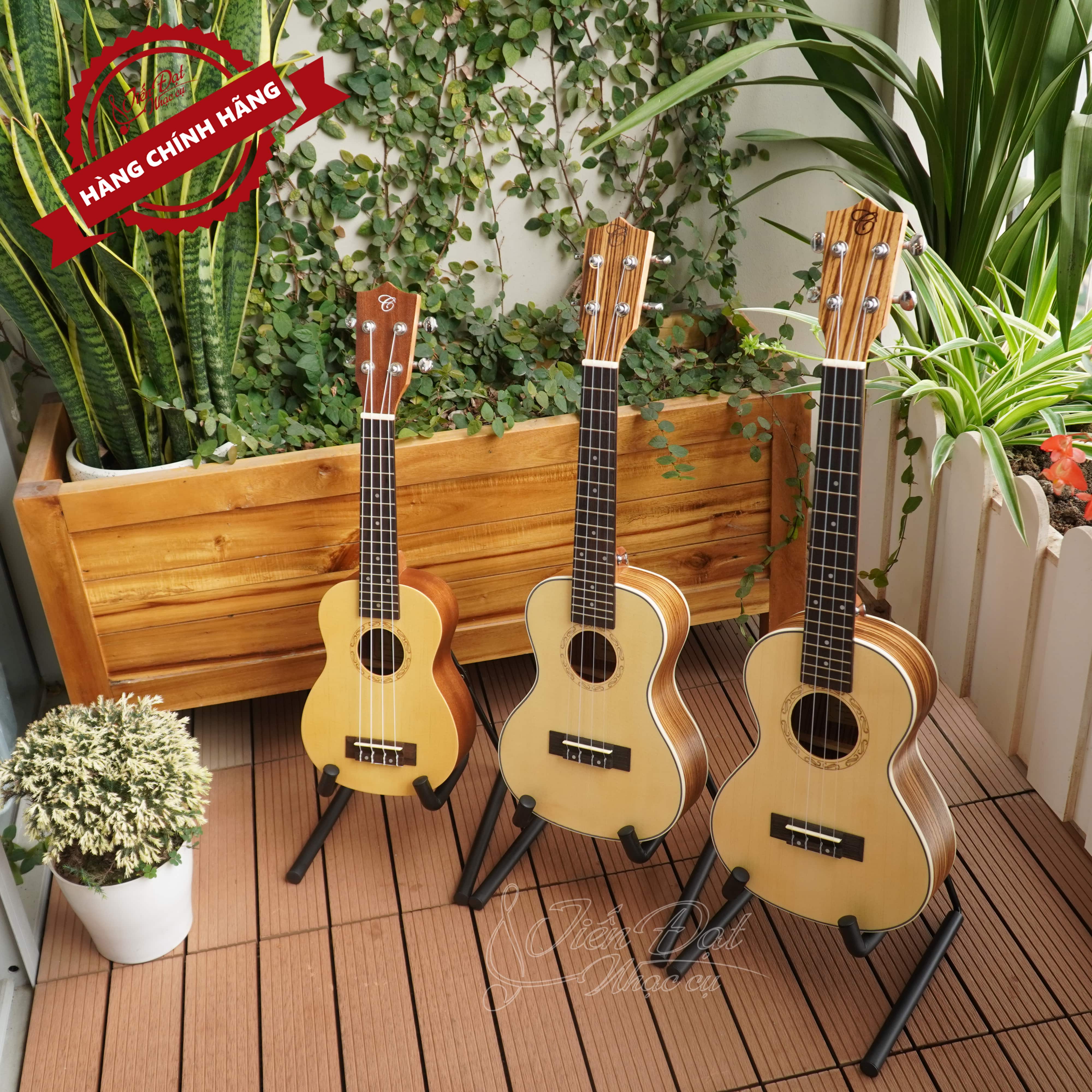 Đàn Ukulele Soprano Chard U-21C, Mặt Đàn Gỗ Vân Sam - Hàng Chính Hãng