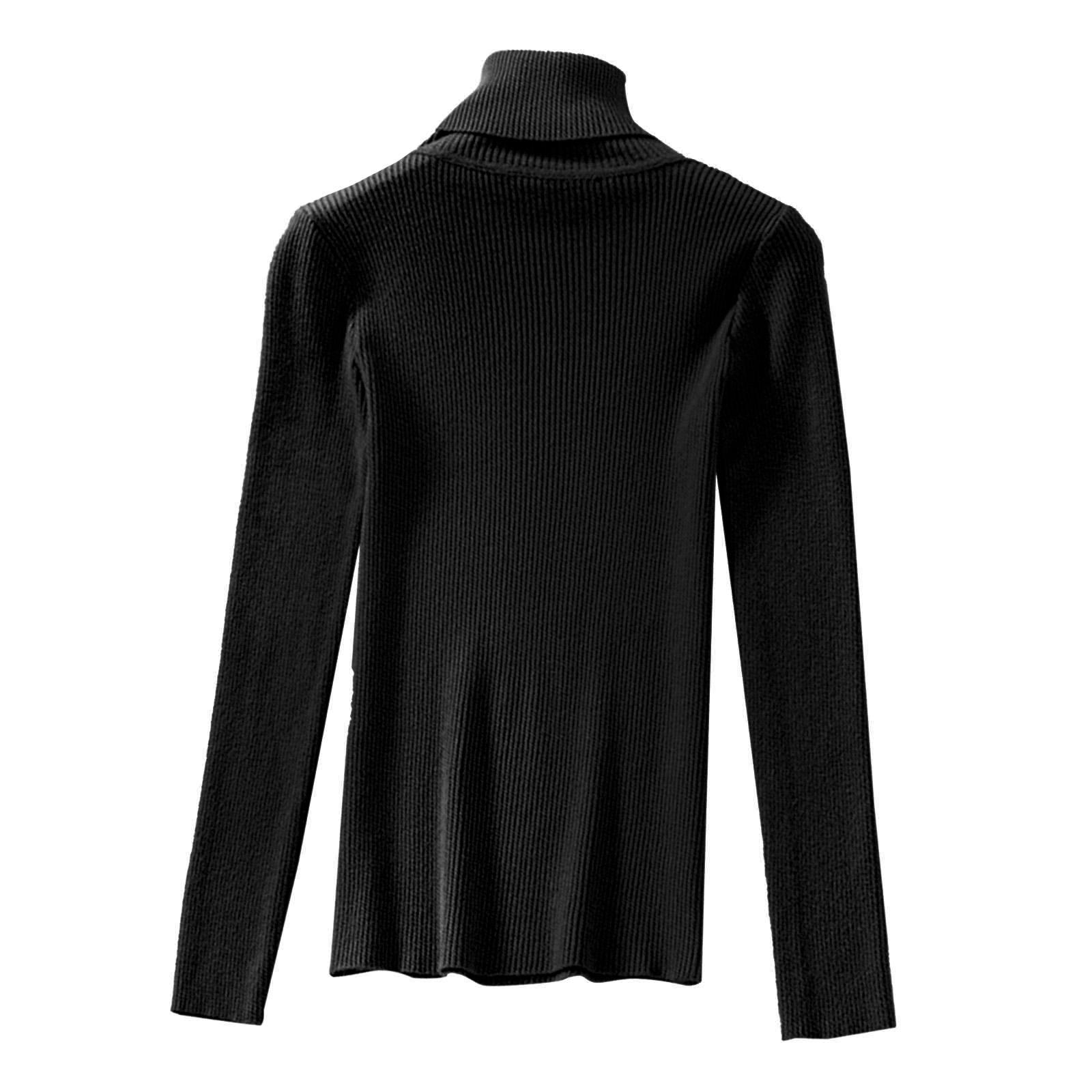 Lady Turtleneck Knit Sweater Long Sleeves  Slim Sweater for Women