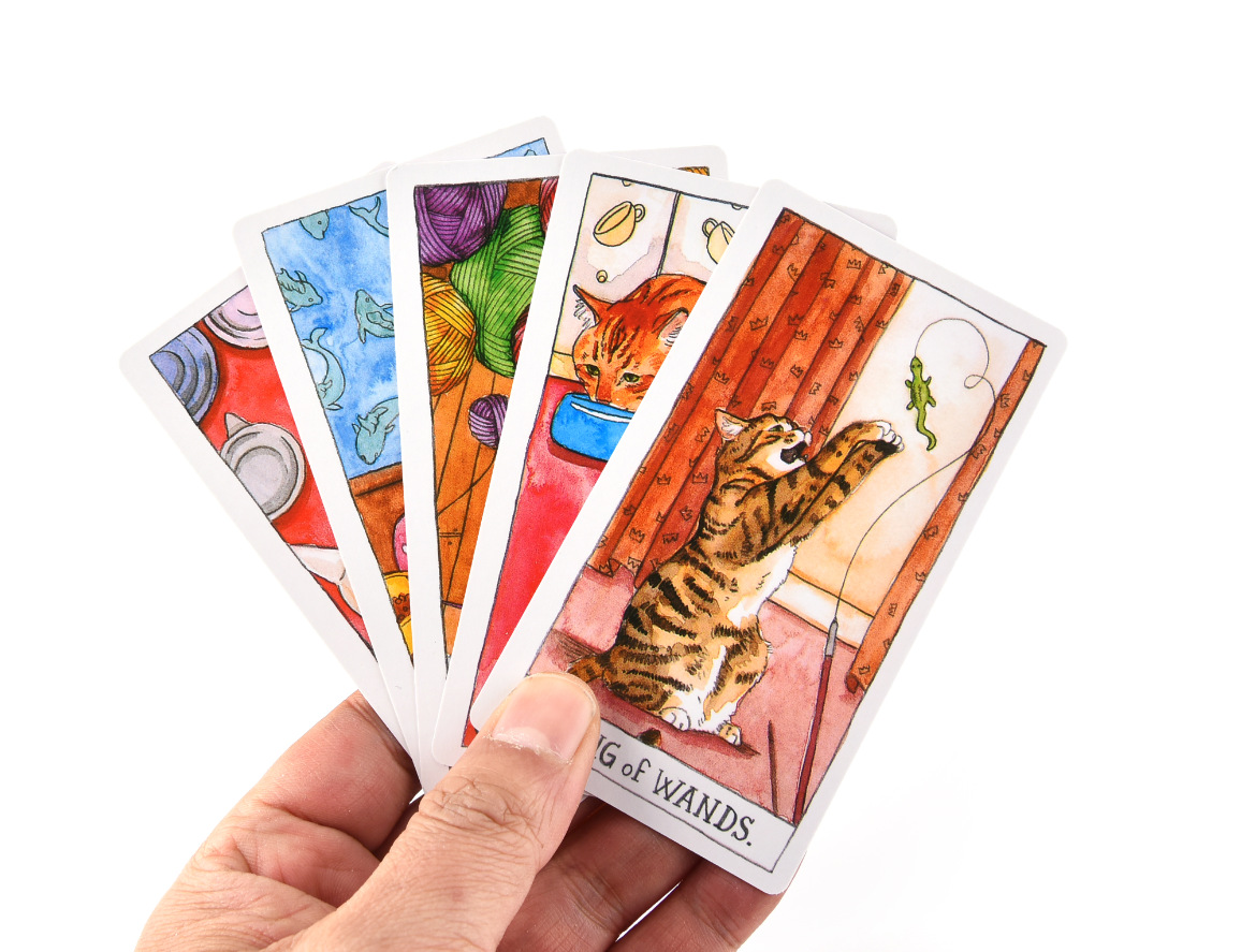 Bộ Bài Bói Cat Tarot New Cao Cấp