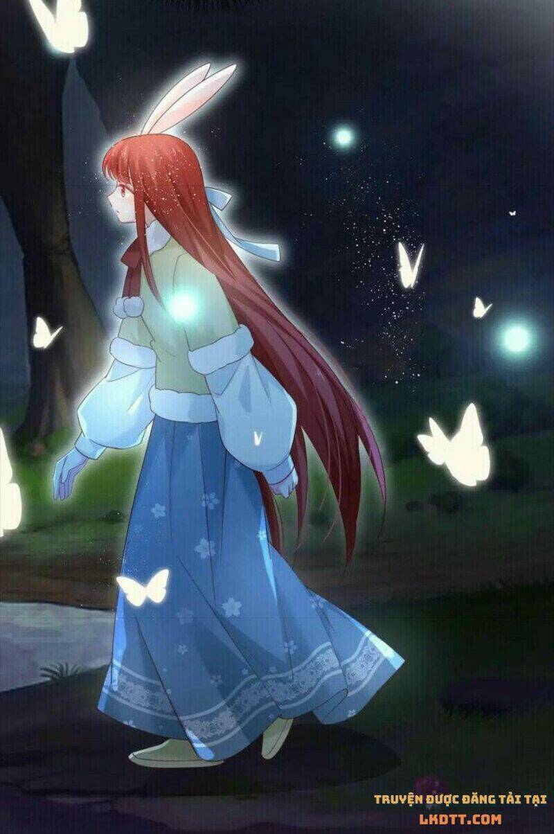 hắc hóa nam chính trực tuyến nuôi thỏ chapter 58 31