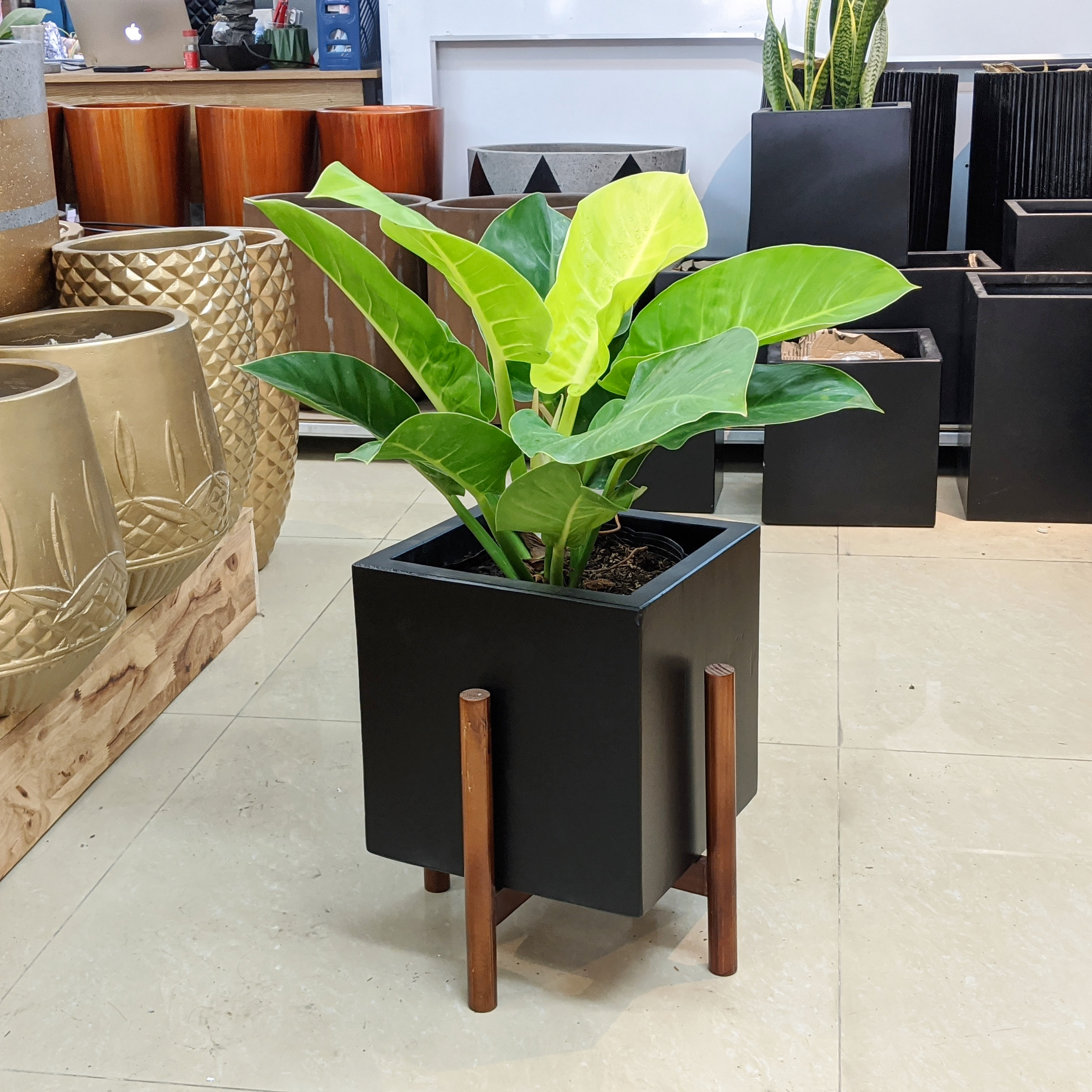Chậu Xi măng vuông Full Đen W30xH30