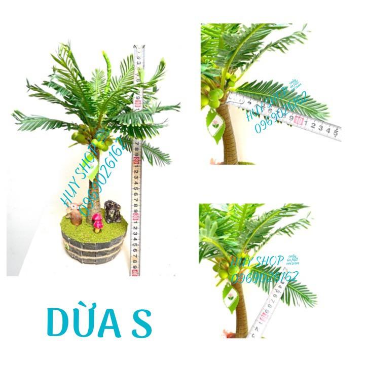 Chậu cây Trái DỪA nhân tạo trang trí nhà cửa