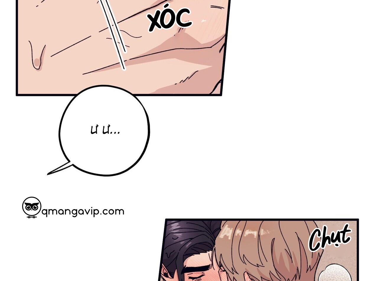 chàng dâu nhà họ kang chapter 44 47