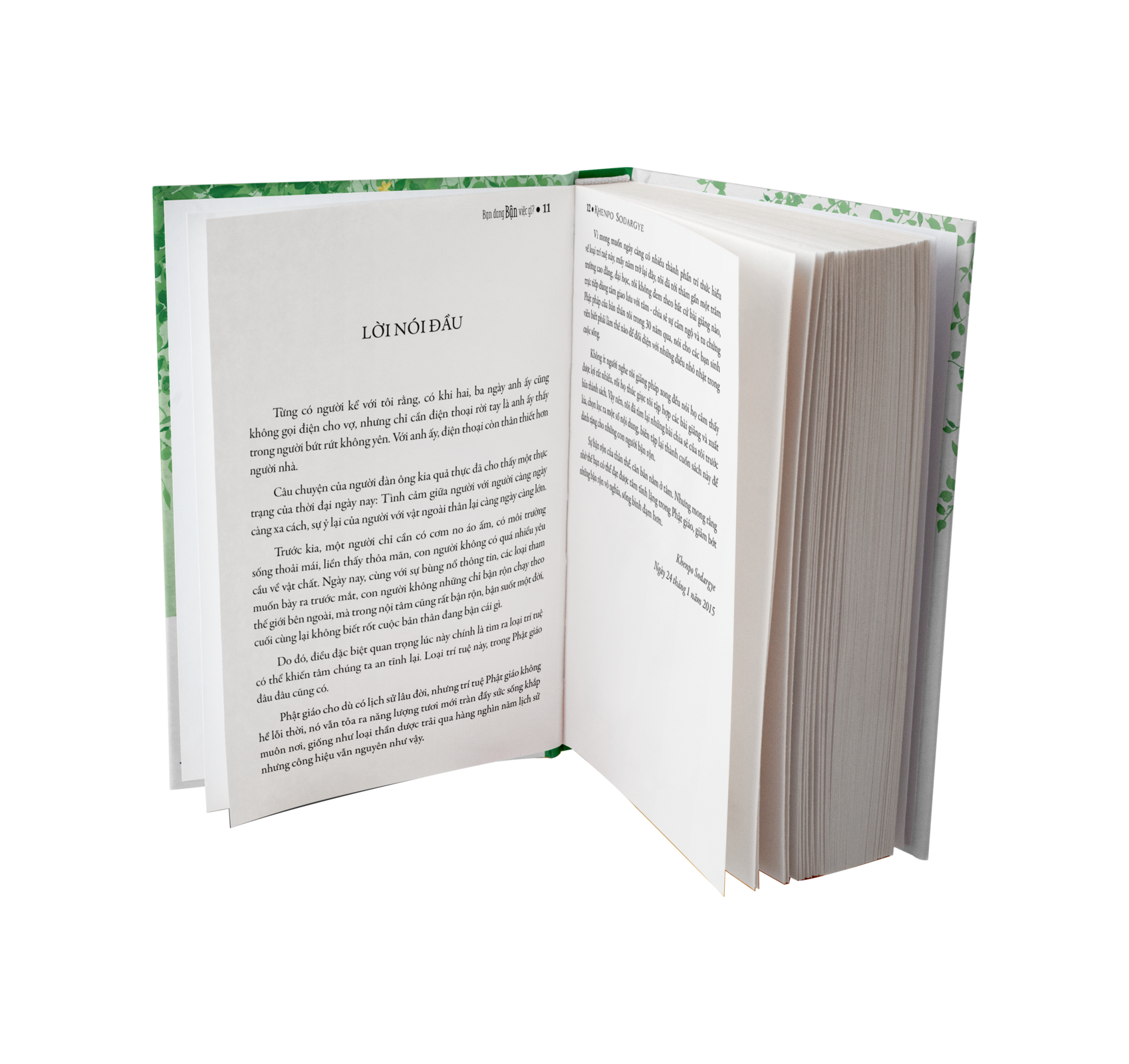 BỘ SÁCH "BẬN" - Sách Tôn Giáo, Nghệ Thuật Và Văn Hóa, Tác Giả KHENPO SODARGYE - Hiệu sách genbooks, bìa mềm, in màu