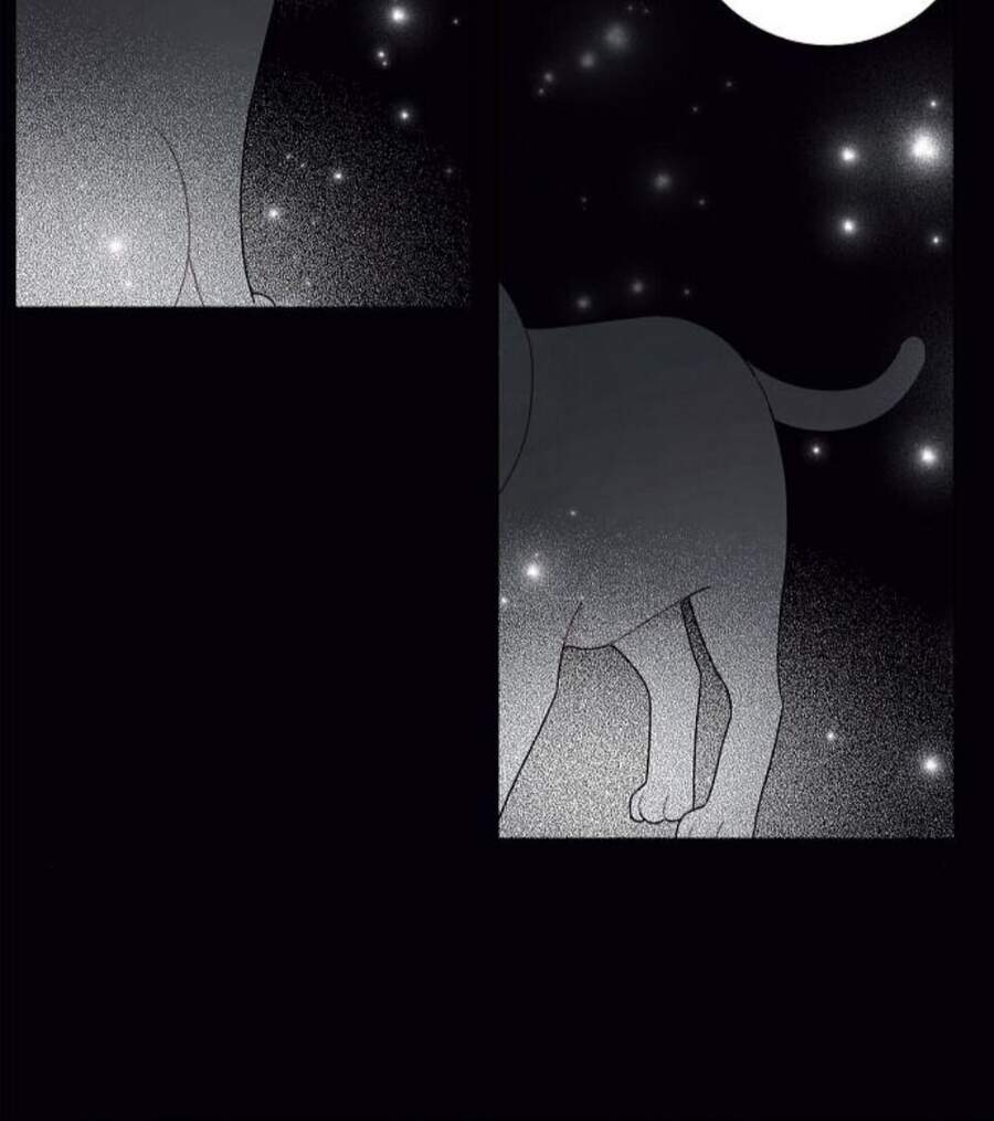 tôi đã cướp mất đêm đầu tiên của nam chính chapter 76.5 17