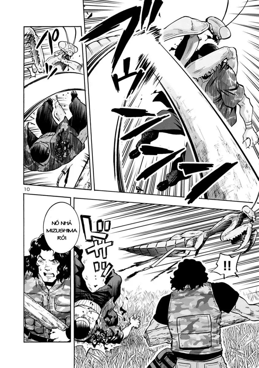 Siêu Đảo Côn Trùng chapter 11.1 10