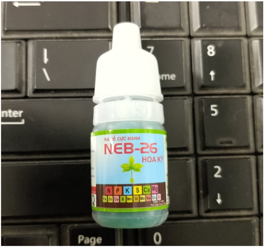 RA Rễ CỰC MẠNH NEB-26 HOA KỲ 5ml