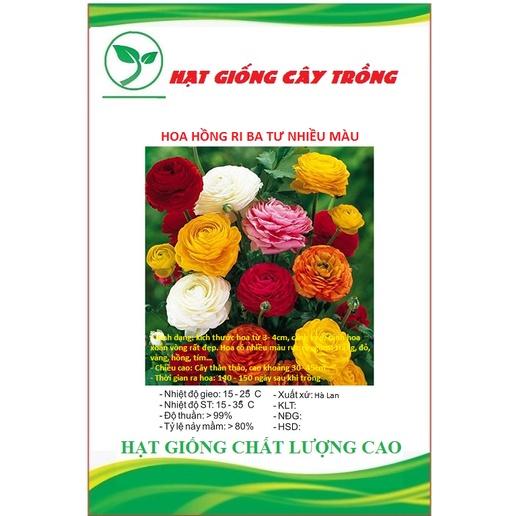 Hạt giống hoa hồng ri ba tư mix màu CT240 - Gói 10 hạt