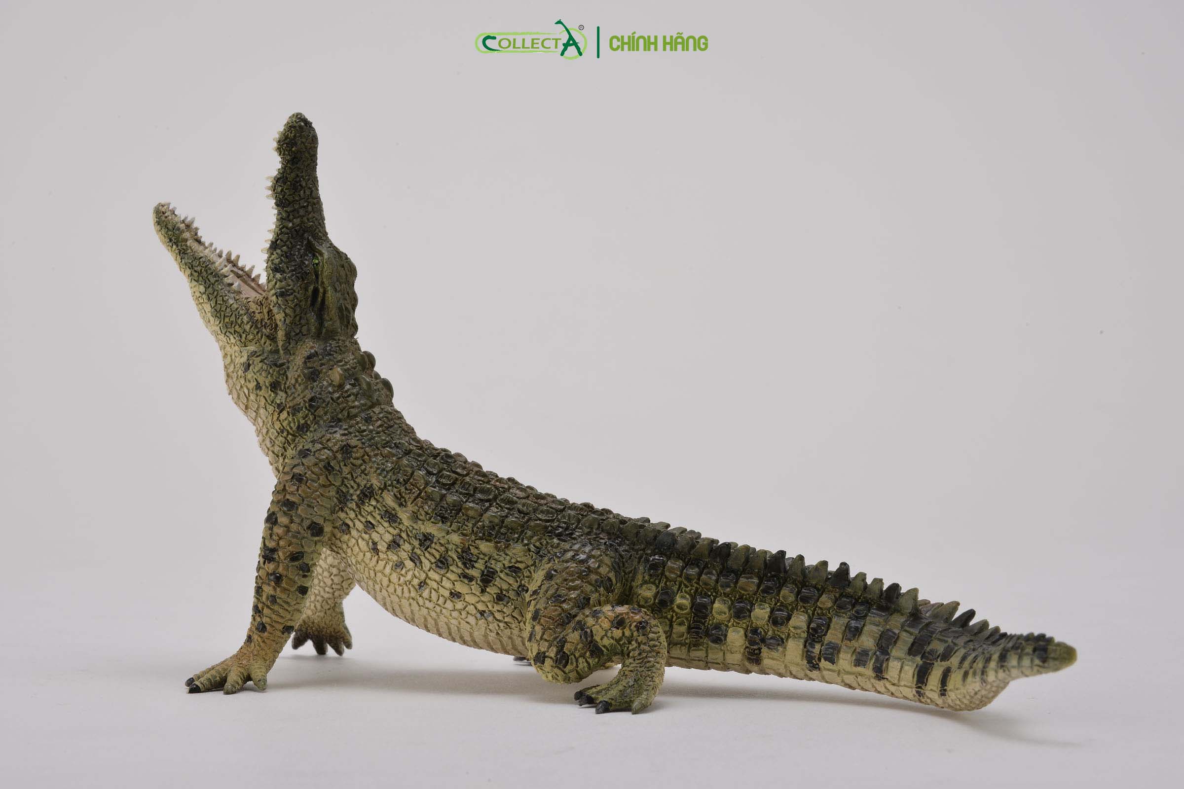 Mô hình thu nhỏ: Cá Sấu Sông Nile - Nile Crocodile Leaping with movable jaw, hiệu: CollectA, mã HS 9651090[88725] -  Chất liệu an toàn cho trẻ - Hàng chính hãng