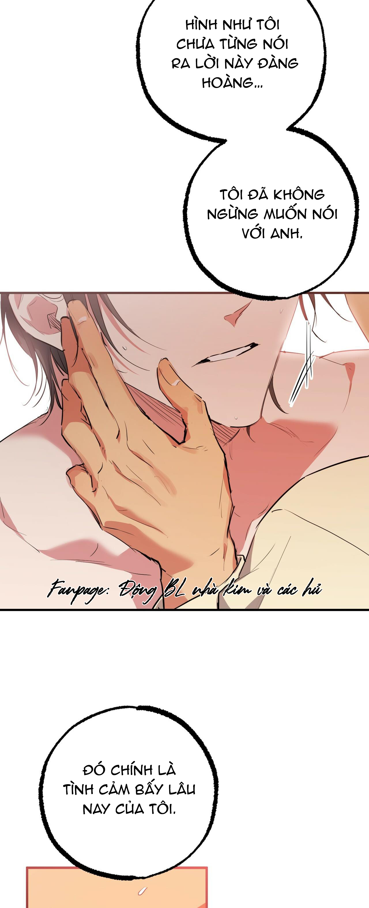 những chú thỏ của hapypy chapter 38 53