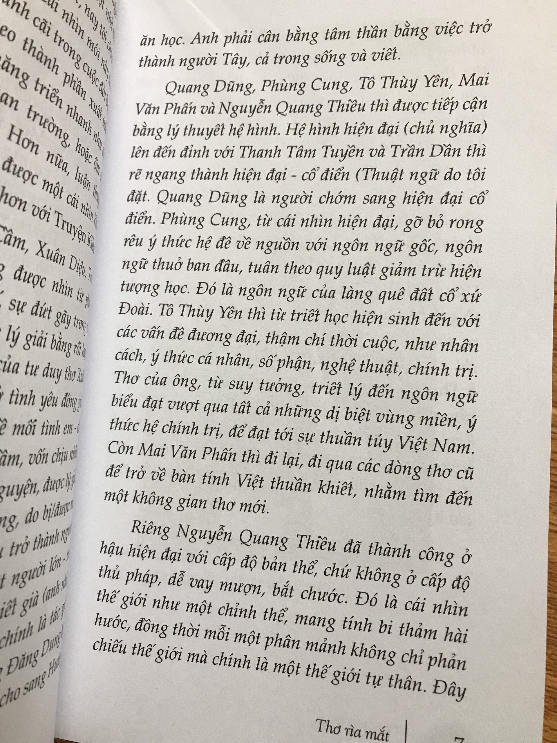 Thơ Rìa Mắt - Đỗ Lai Thuý (Chân Dung và Phê Bình Văn Học)