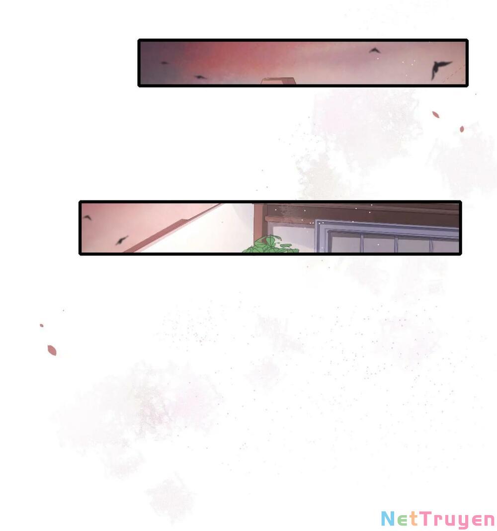 chàng vú em tu chân chapter 65 3