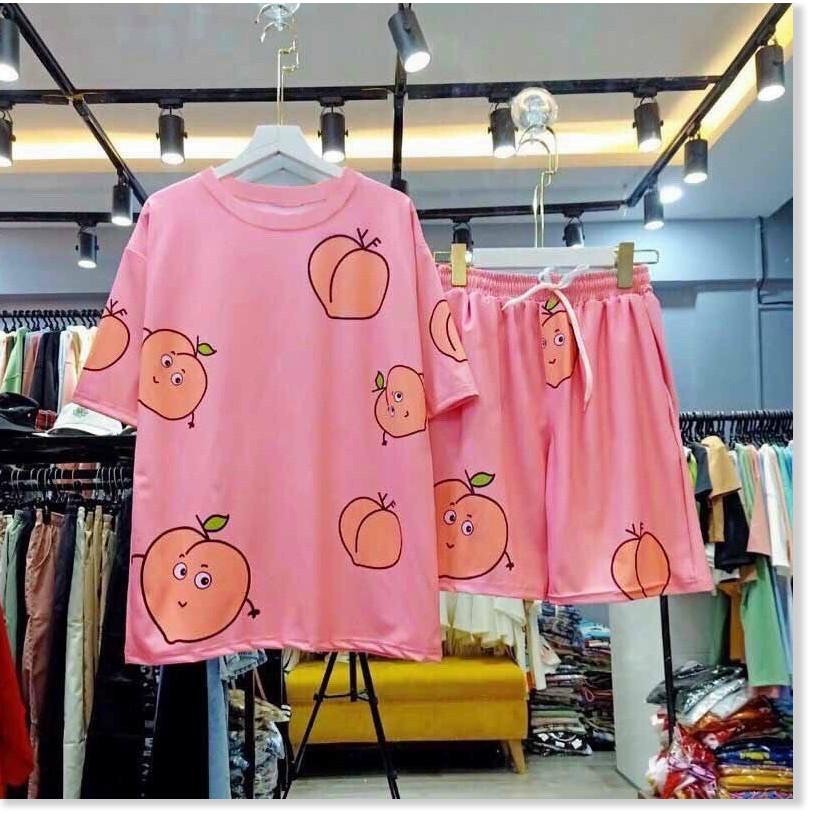 SET BỘ TRÁI BƠ CUTE