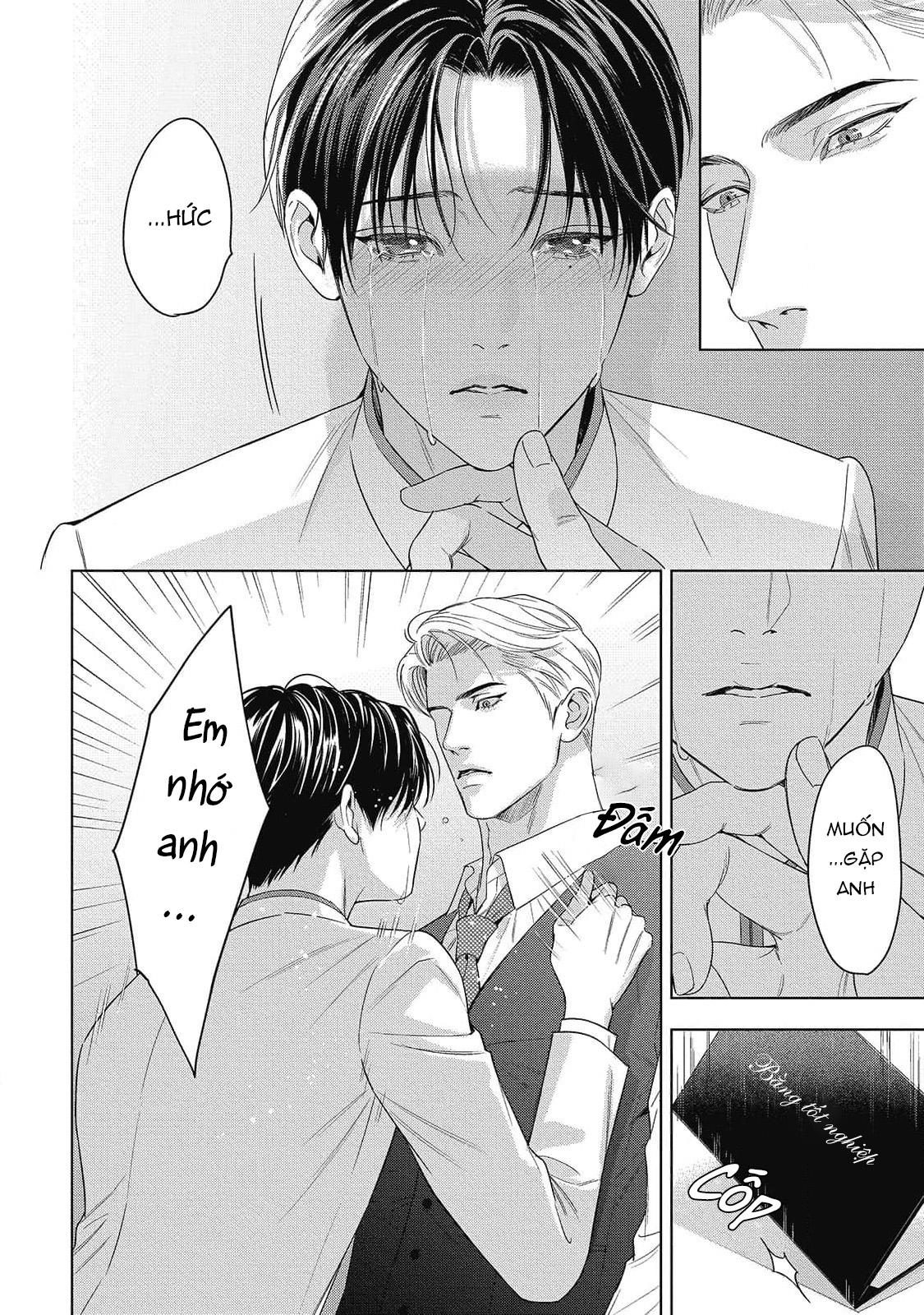 cô dâu của alpha chapter 29 39