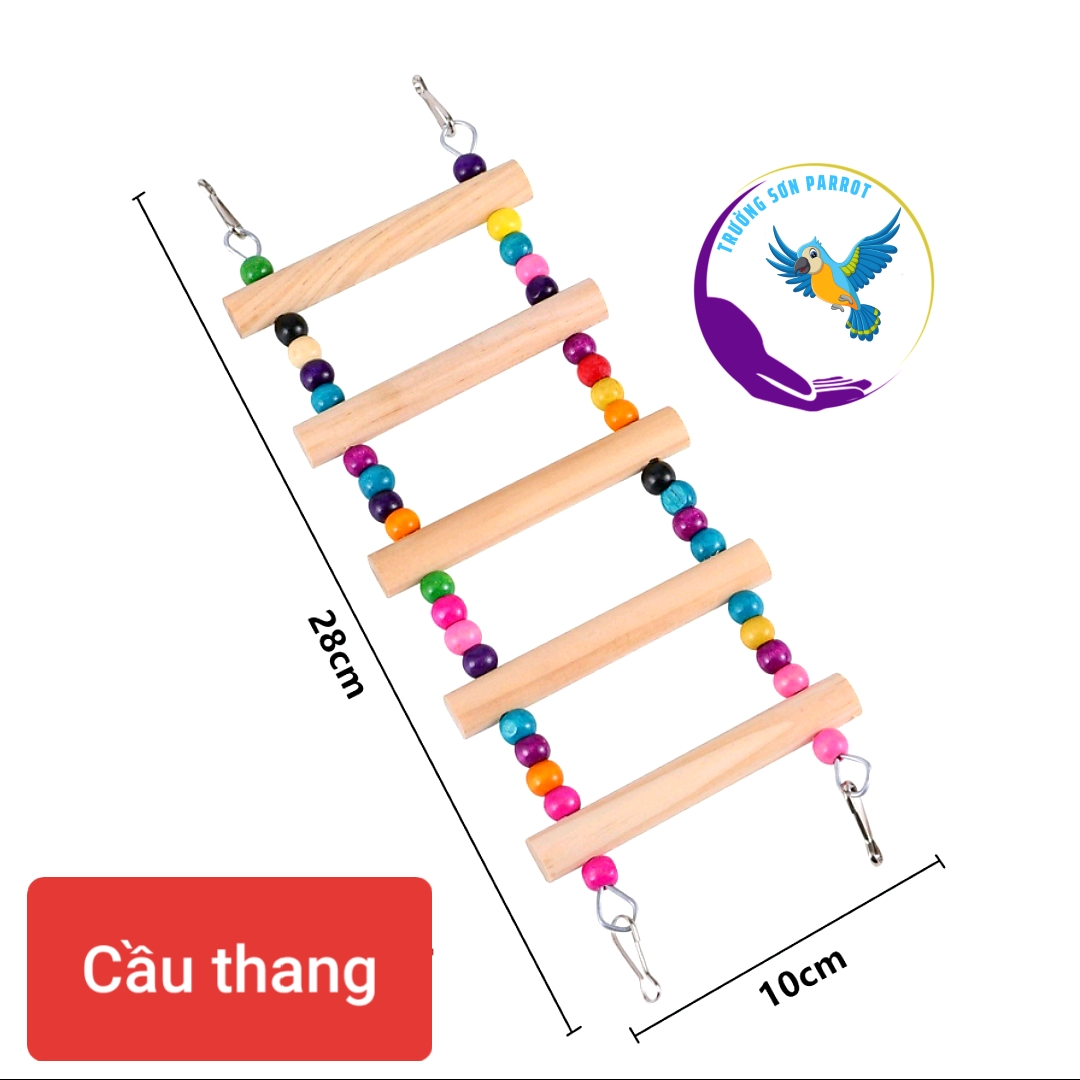 Bộ 6 món đồ chơi như hình treo lồng cho vẹt, sóc, chuột hamster và chim cảnh khác .