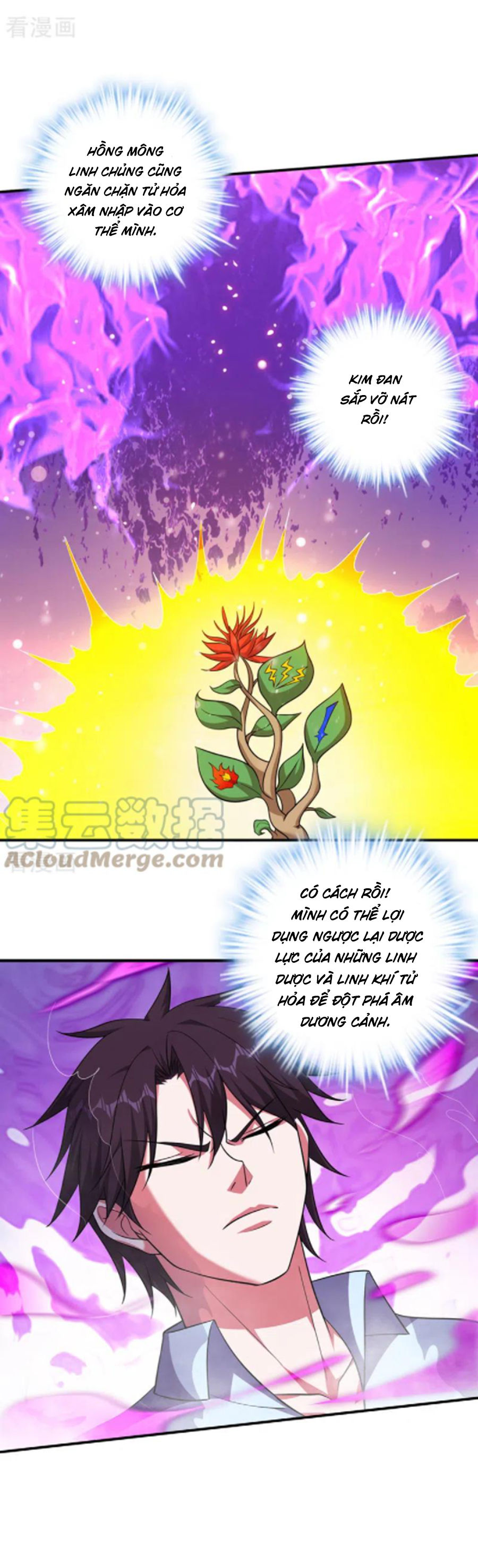 tối cường thần y tại đô thị chapter 252 12