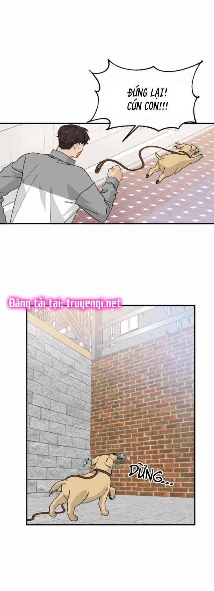 ngài kỵ sĩ, xin hãy cứu tôi! chapter 8 46